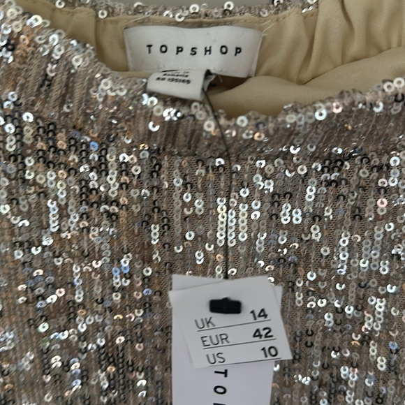 NWT Topshop champagne midi sequence skirt - Picture 2 of 4